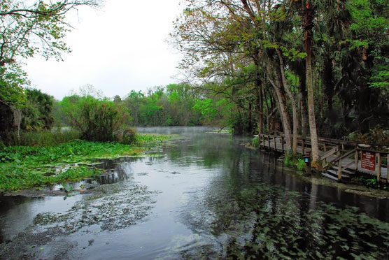 Wekiva-River