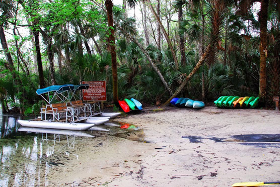 Wekiwa-Springs-Boat-Rentals-1