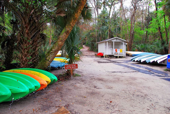 Wekiwa-Springs-Boat-Rentals-2