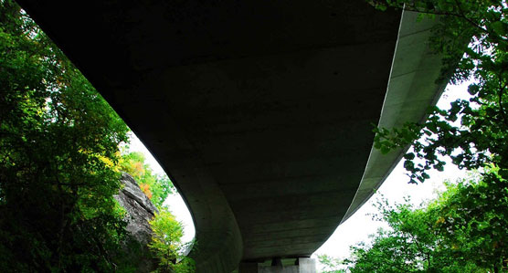 Under-the-Viaduct