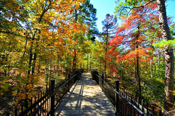 Cedar-Falls-Overlook-Trail