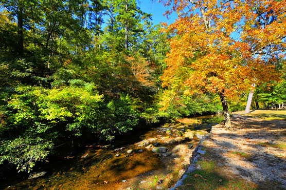 Hot-Springs-Creek-View