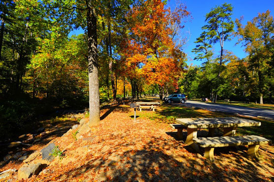 Hot-Springs-Picnic-Area