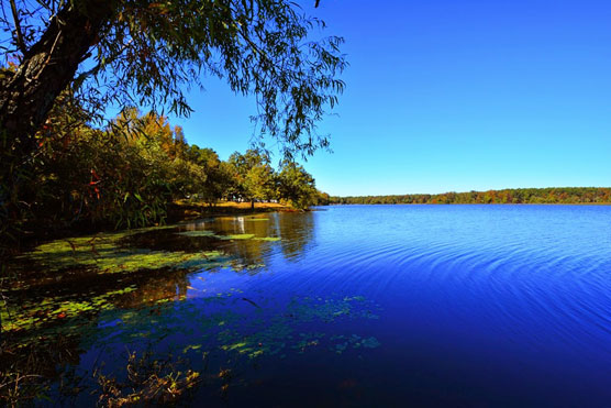 Lake-Bailey-View-1