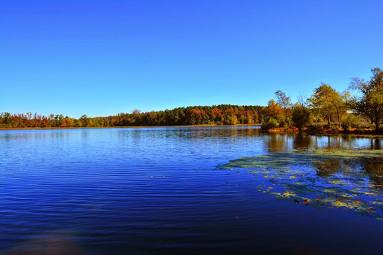 Lake-Bailey-View-2