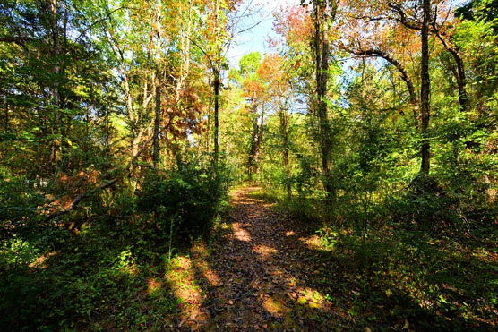 Meadowbrook-Nature-Trail