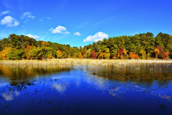 White-Oak-Lake-View-1