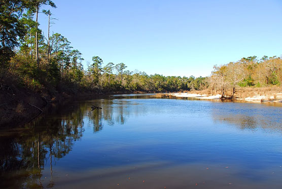 Village-Creek-View-2