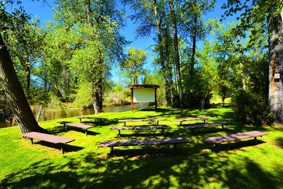 Clyde-Holliday-Amphitheater