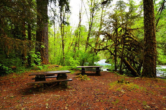 McKenzie-Bridge-Picnic-Area