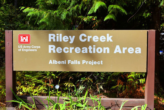 Riley-Creek-Sign