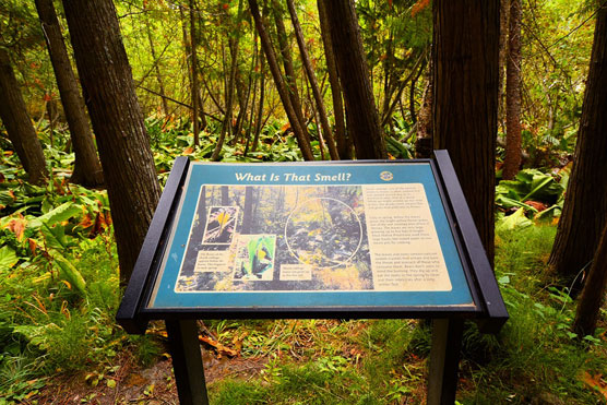 Round-Lake-Trail-Sign