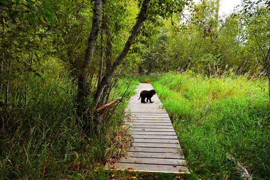 Round-Lake-Trail