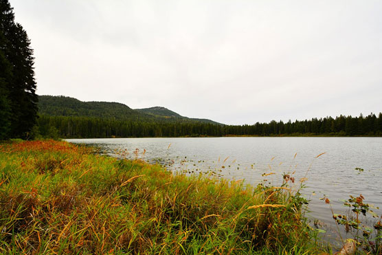 Round-Lake-View