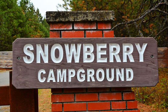 Snowberry-Sign