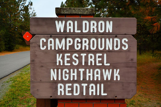 Waldron-Sign