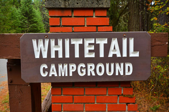 Whitetail-Sign