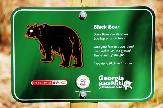 Bear-Sign