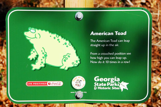 Toad-Sign