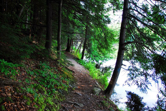 Half-Moon-Pond-Trail