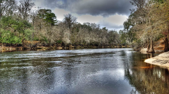 Suwannee-River-1