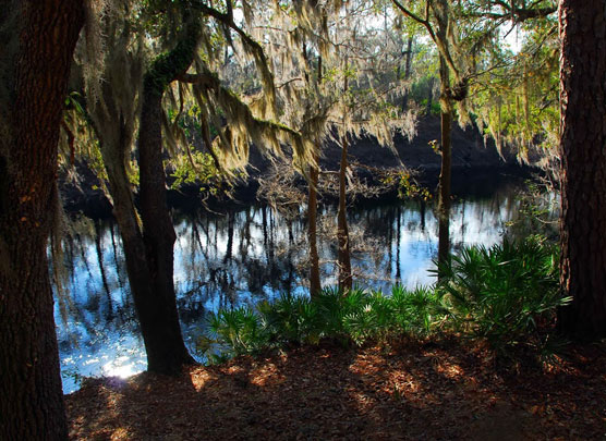 Suwannee-River