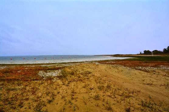 Lake-Tawakoni-Beach