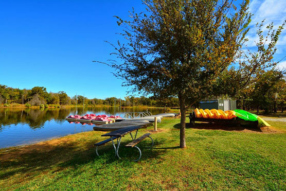 Purtis-Creek-Boat-Rentals