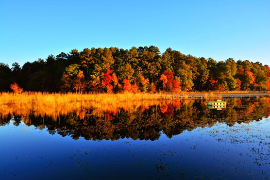 White-Oak-Lake-Sunrise