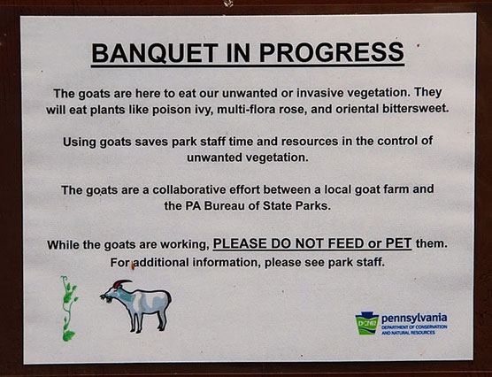 Gifford-Pinchot-Goat-Sign