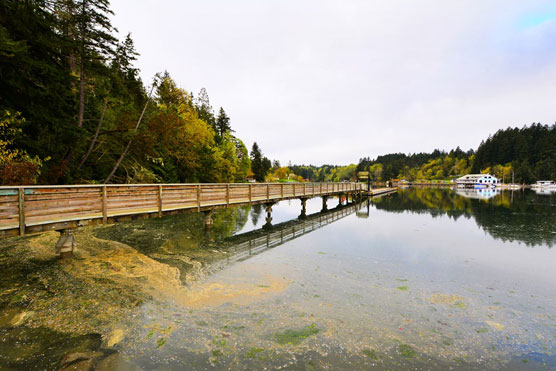 Penrose-Point-Pier