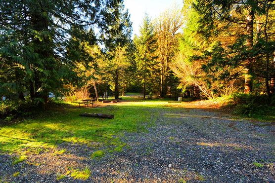 Potlatch-State-Park-Campsite_074