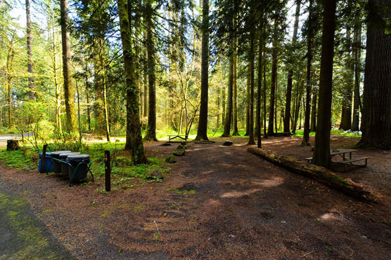 Rainbow-Falls-State-Park-Campsite_019