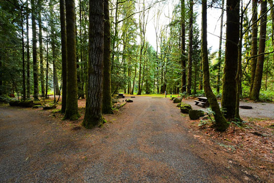 Rainbow-Falls-State-Park-Campsite_032