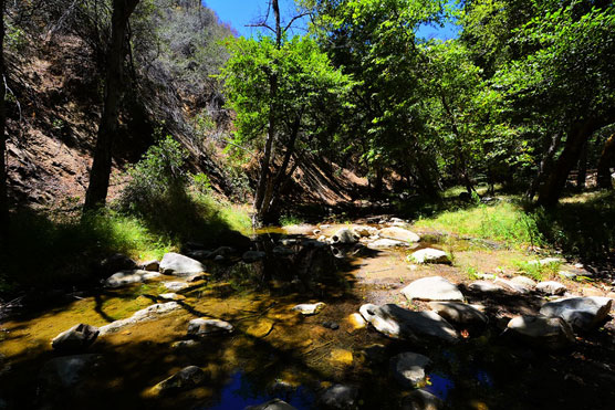 Wheeler-Gorge-Creek