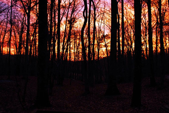 Claytor-Lake-Sunset