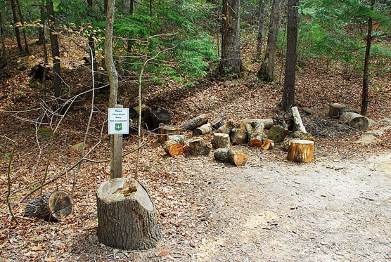 Cave-Mountain-Lake-Firewood