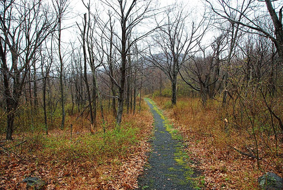 Loft-Mountain-Trail