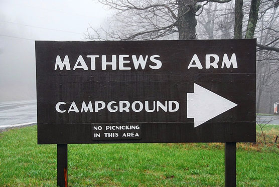 Mathews-Arm-Sign