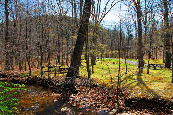 Sherando-Lake-Picnic-Area-1