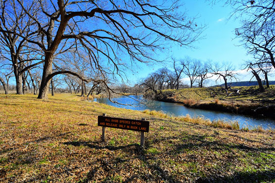 South-Llano-River-Buck-Lake