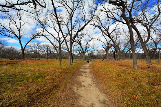 South-Llano-River-Trail