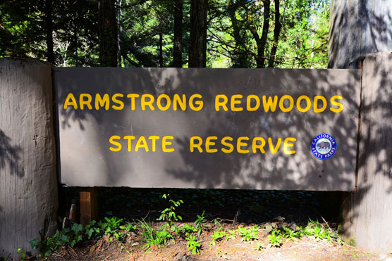 Armstrong-Redwoods-Sign