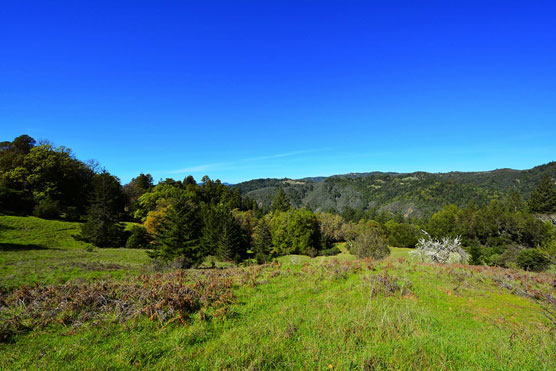 Austin-Creek-View