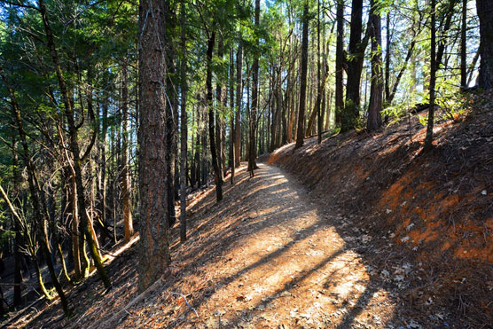 Castle-Crags-Trail