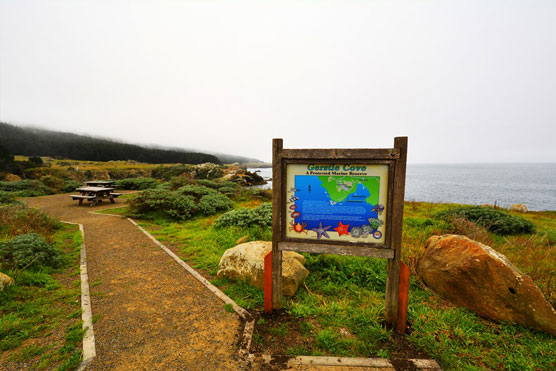 Gerstle-Cove-Picnic-Area