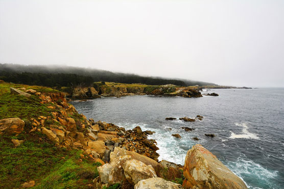 Gerstle-Cove-View-1