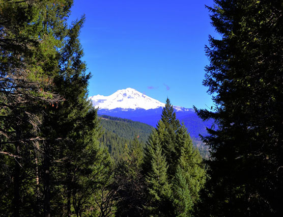 Mount-Shasta