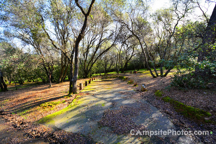 Loafer Creek 060