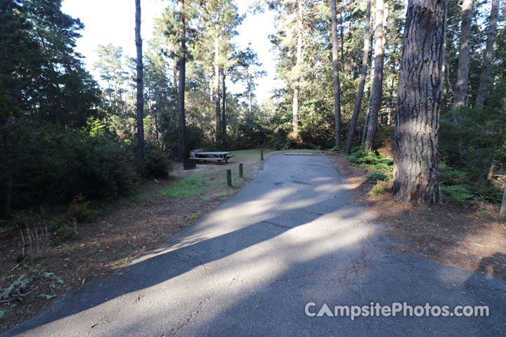 Salt Point State Park Woodside 034